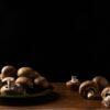 how mushroom farmasing is beneficial ?